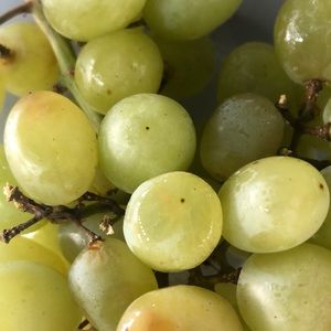 Meet your Posher, Kaitlin